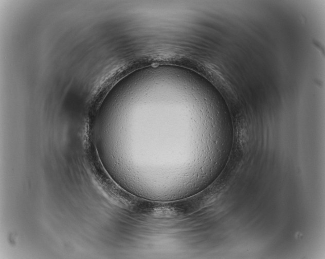 X0000100410591200806131038