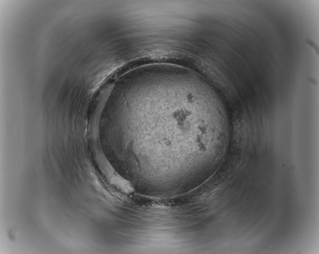 X0000100410592200806131038