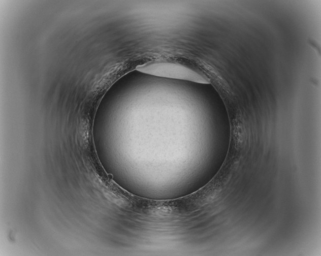 X0000100410593200806131038