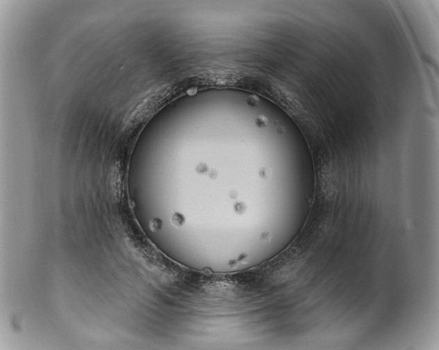 X0000100410594200806131038