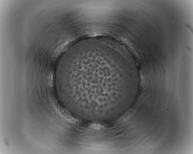 X0000100410596200806131038