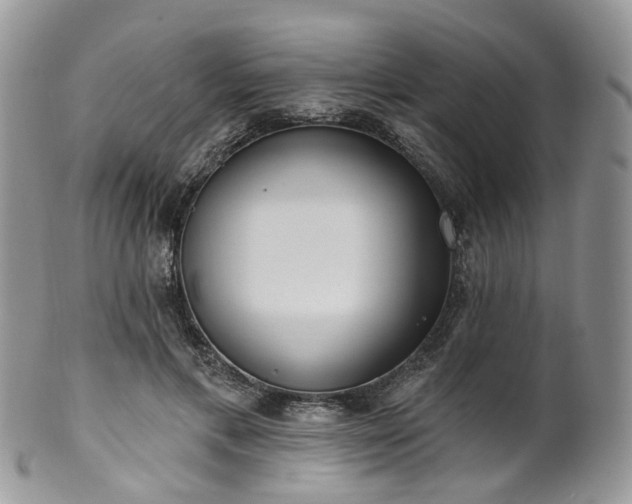 X0000100410597200806131038