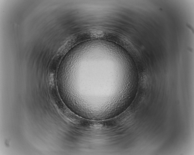 X0000100410598200806131038