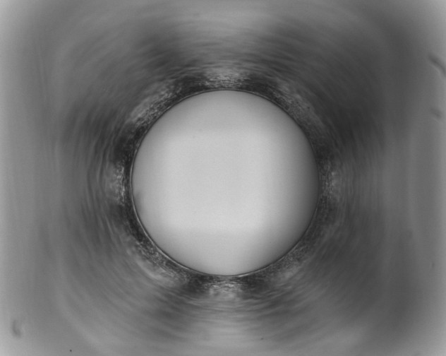 X0000100410599200806131038