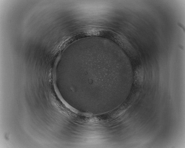 X0000100410600200806131037