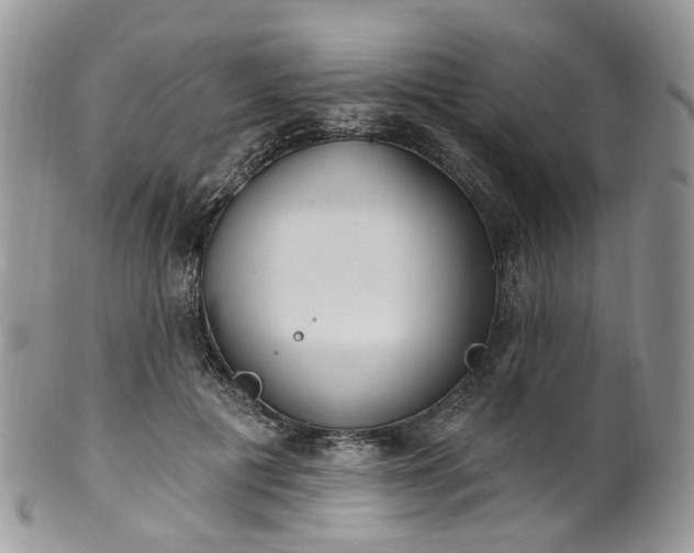 X0000100410601200806131037