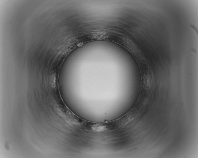 X0000100410602200806131037