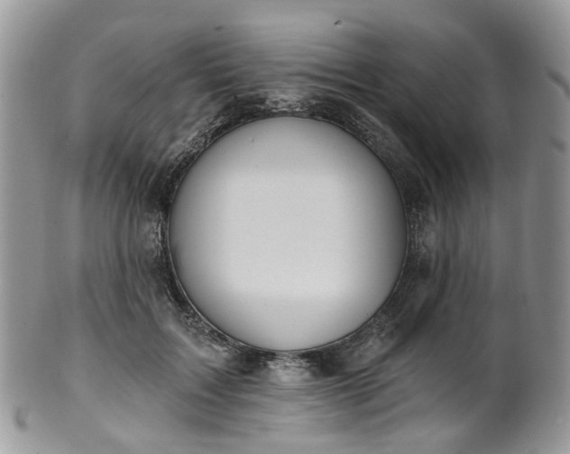 X0000100410603200806131037