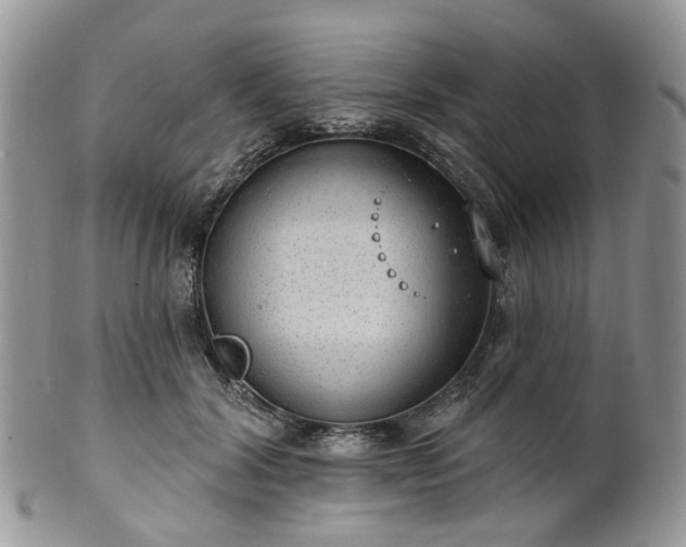 X0000100410604200806131037