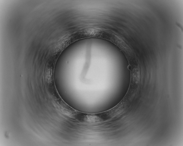 X0000100410605200806131037