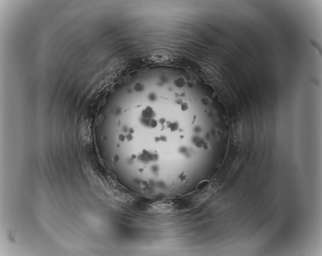 X0000100410606200806131037