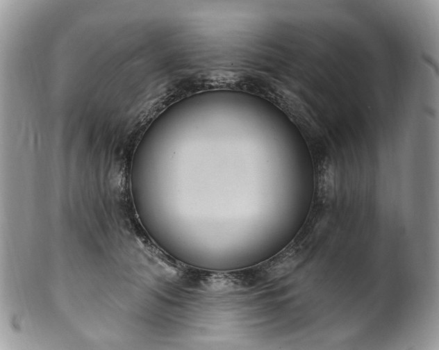 X0000100410608200806131037