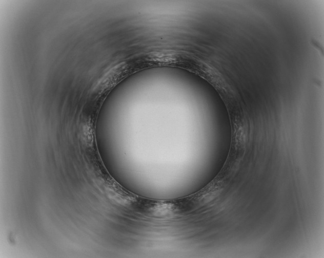 X0000100410609200806131037