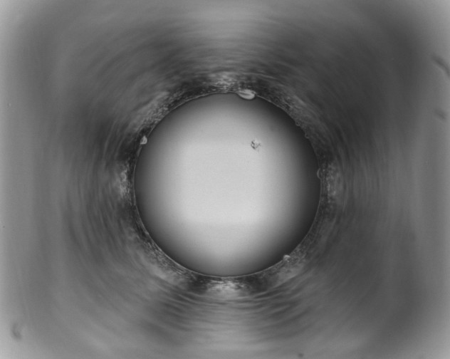 X0000100410611200806131037