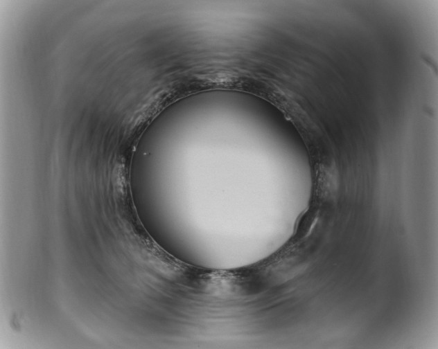 X0000100410612200806131037