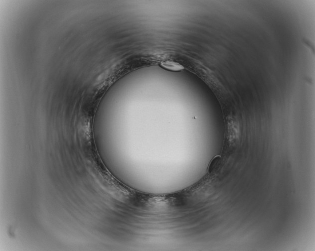 X0000100410613200806131037