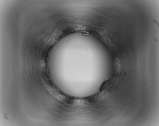 X0000100410614200806131037