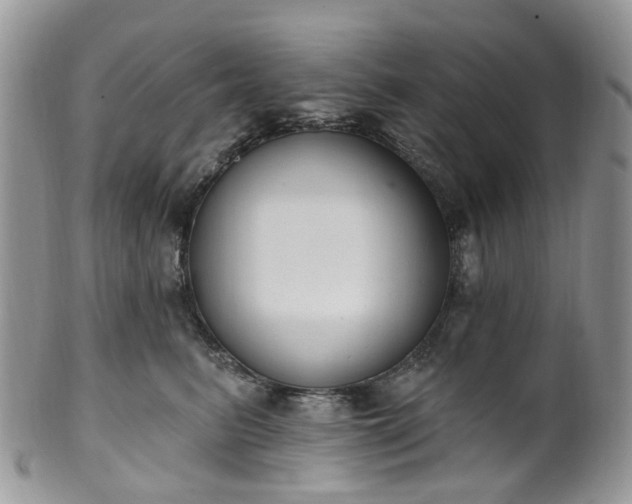 X0000100410615200806131037