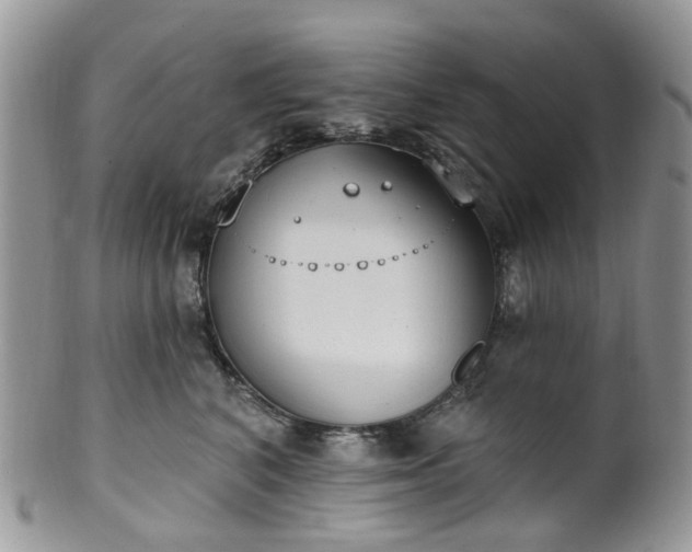 X0000100410616200806131037