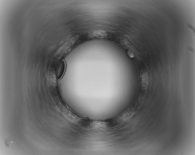 X0000100410617200806131037