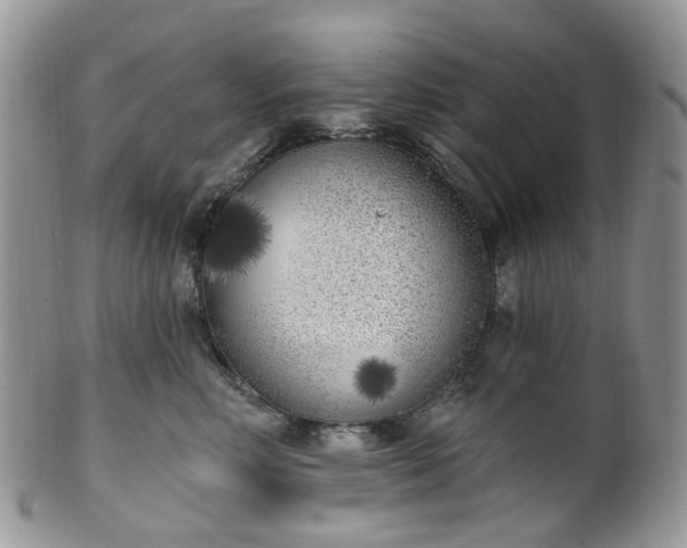 X0000100410618200806131037