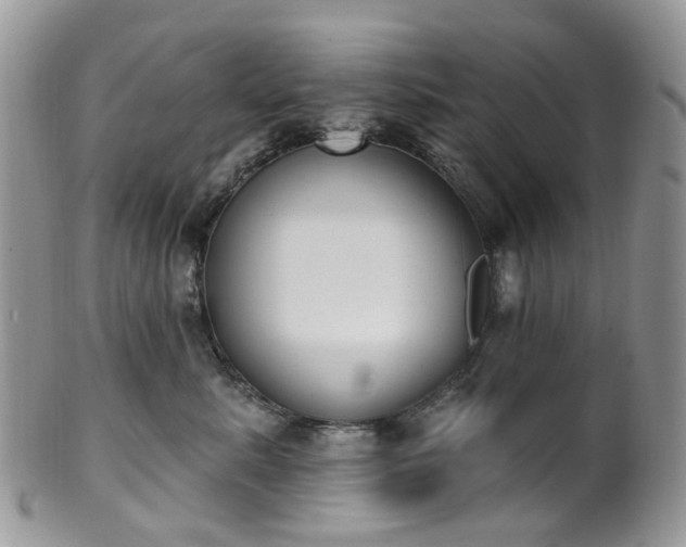 X0000100410619200806131037