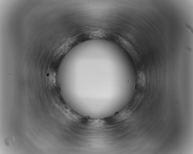 X0000100410621200806131037