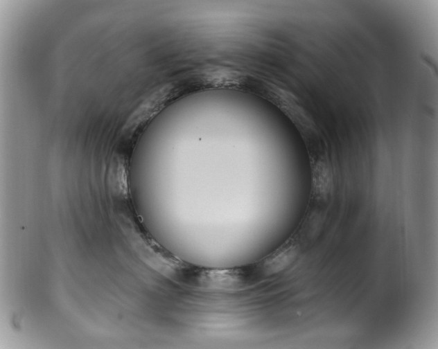 X0000100410622200806131037