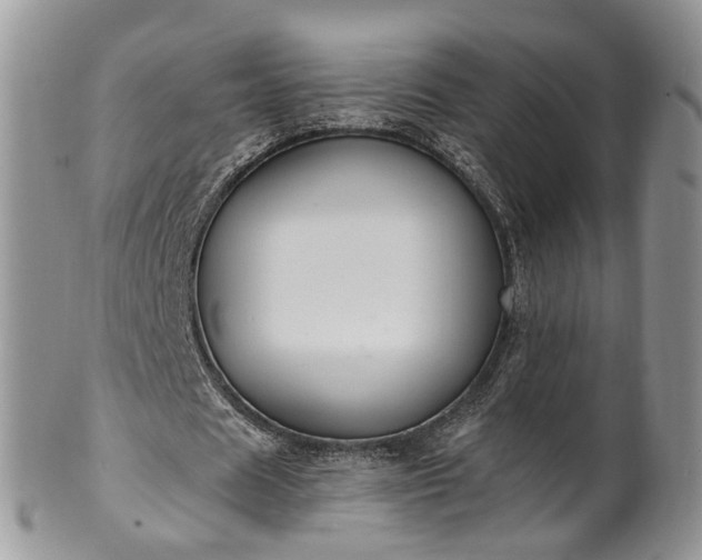 X0000100410625200806131036