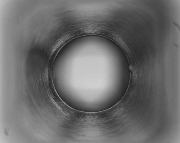 X0000100410626200806131036