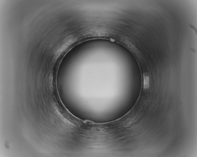 X0000100410627200806131036