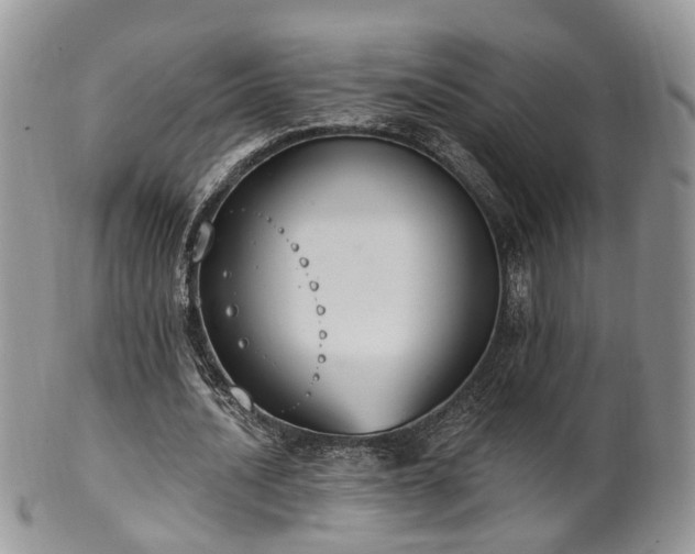 X0000100410628200806131036