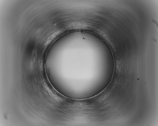 X0000100410629200806131036