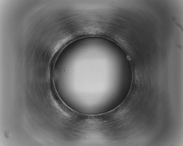 X0000100410630200806131036