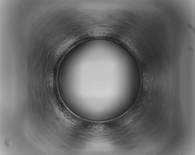 X0000100410631200806131036