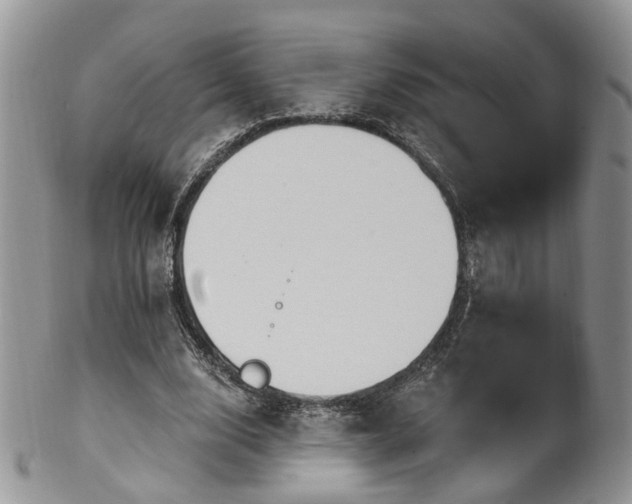 X0000100410632200806131036