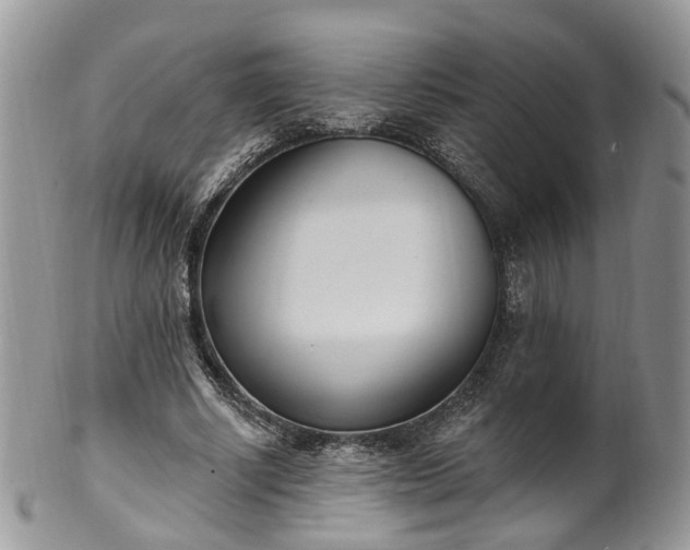 X0000100410634200806131037