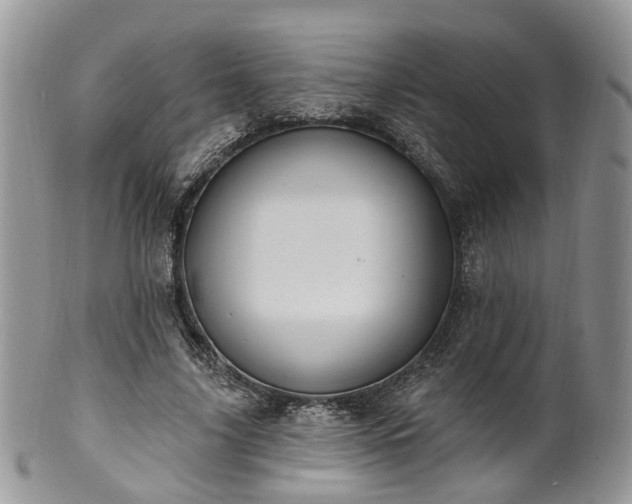 X0000100410635200806131037