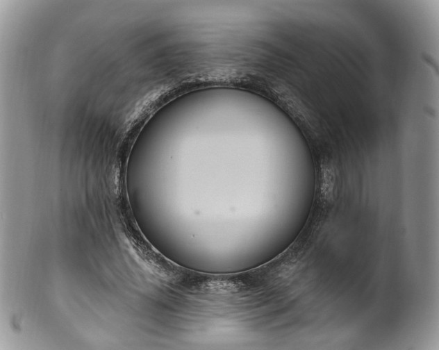 X0000100410636200806131037