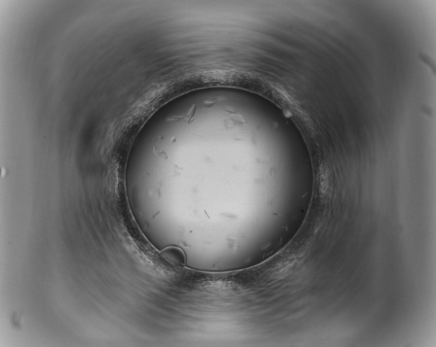 X0000100410637200806131037