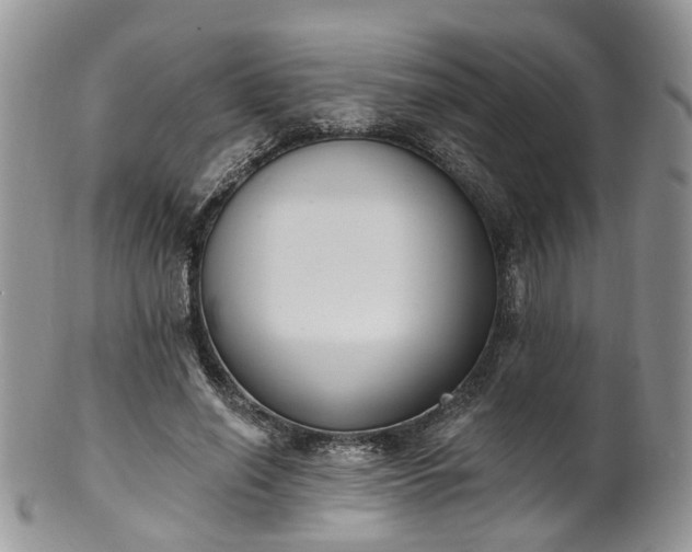 X0000100410638200806131037