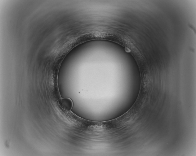 X0000100410639200806131037