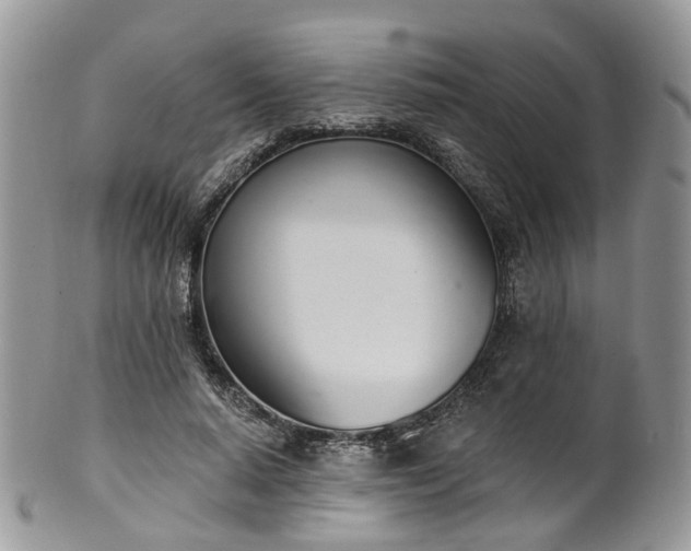 X0000100410640200806131037