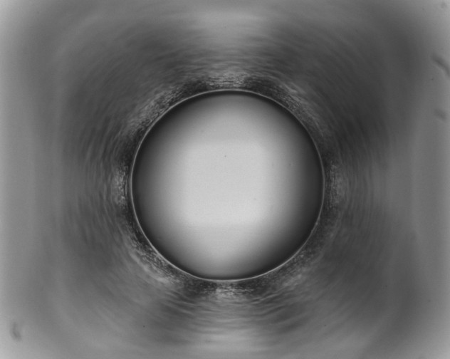 X0000100410641200806131037