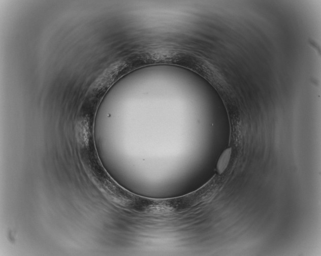 X0000100410644200806131037