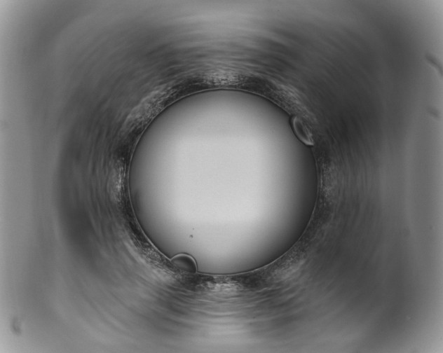 X0000100410645200806131037