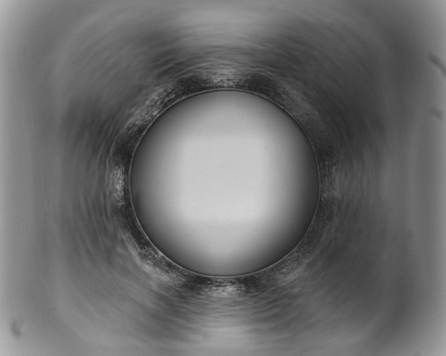 X0000100410646200806131037