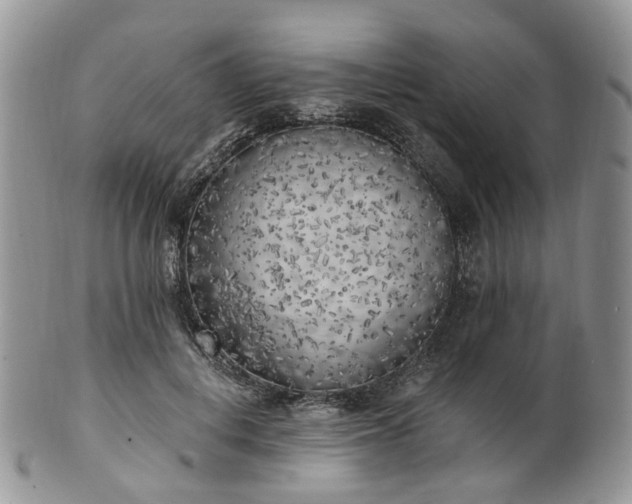 X0000100410648200806131037