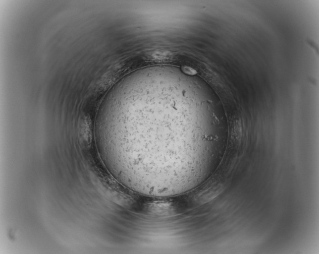 X0000100410651200806131037