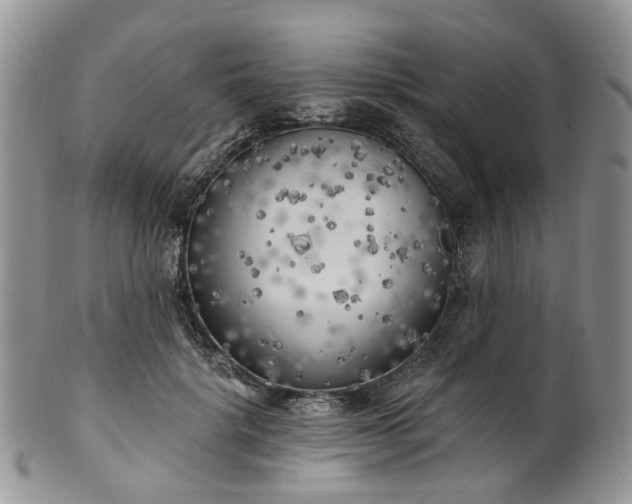 X0000100410652200806131037